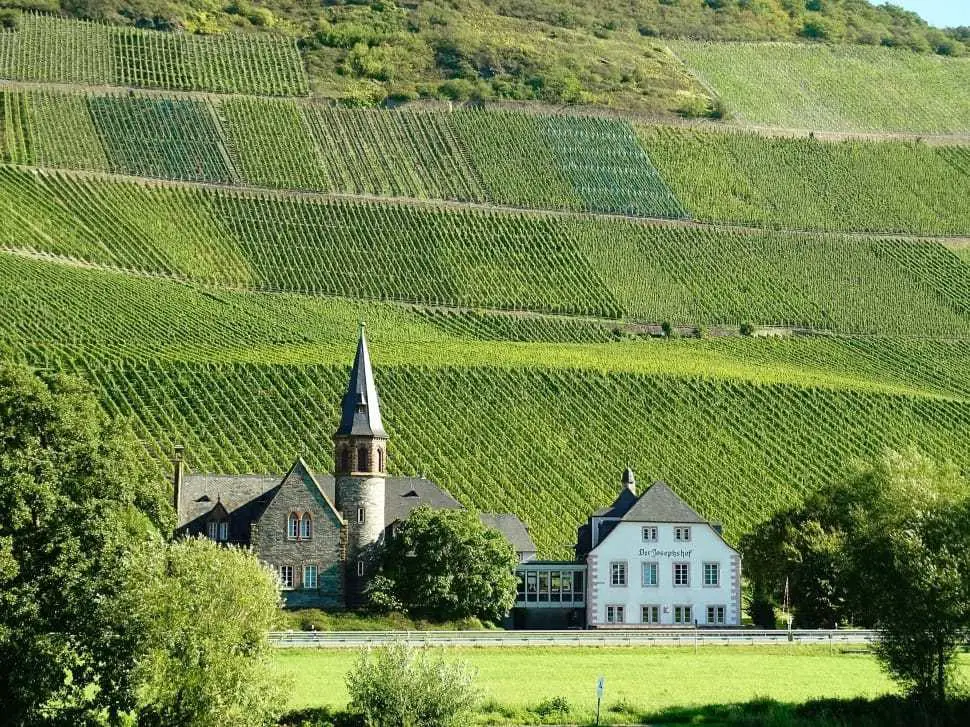 Best Wine Destinations in Europe, Mosel Germany