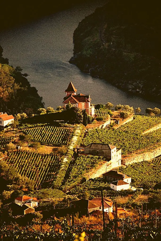 Douro Valley, Portugal