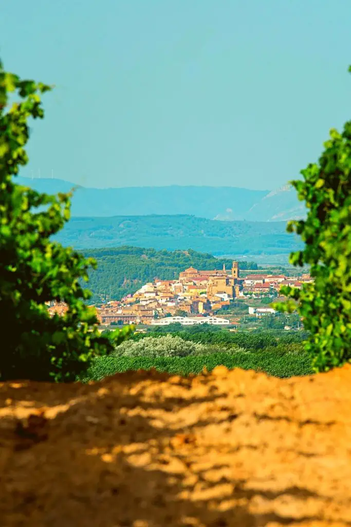wine destinations in Europe, La Rioja, Spain