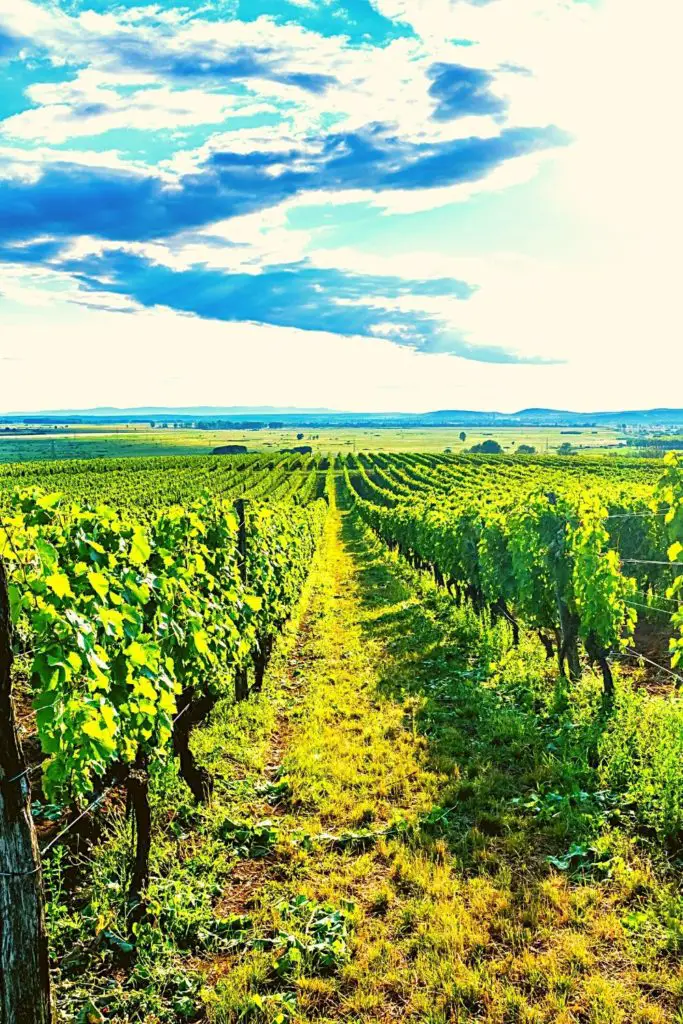 wine destinations in Europe Tokaj - Hegyalja, Hungary