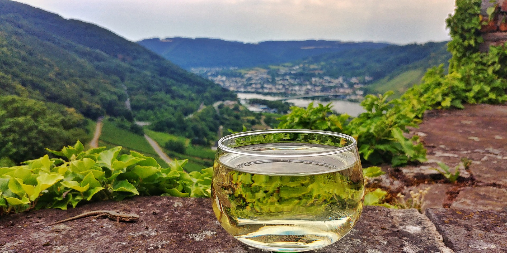 10 Most Beautiful Wine Destinations in Europe You Can Visit by Train