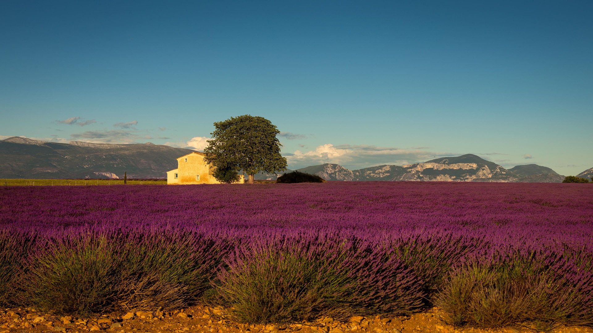 Europe in July 10 Best Places to Visit in Europe in July for Fun Events